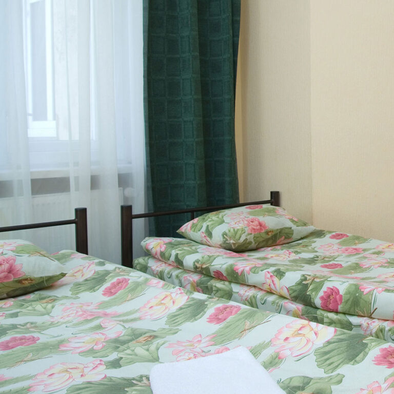 Classic Twin Room